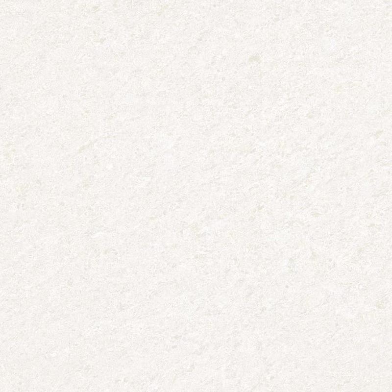 E0JC-T009H
